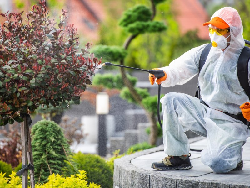 Fatih Haşere İlaçlama